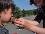 DSC05712.jpg