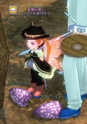 mabinogi_2014_09_18_005.jpg