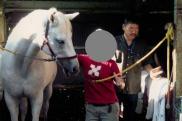paku20050827-1.jpg
