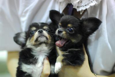 201108283.jpg