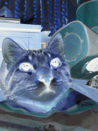 RIMN0006.png