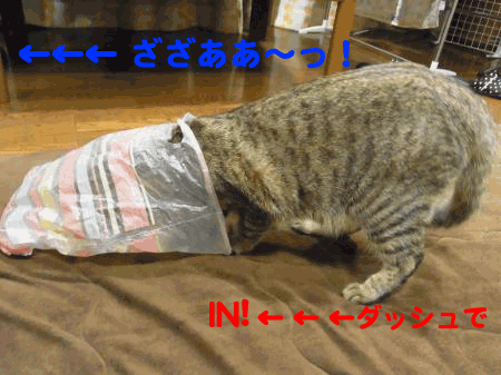 RIMN0044.png