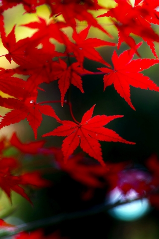 20131209A-02.jpg