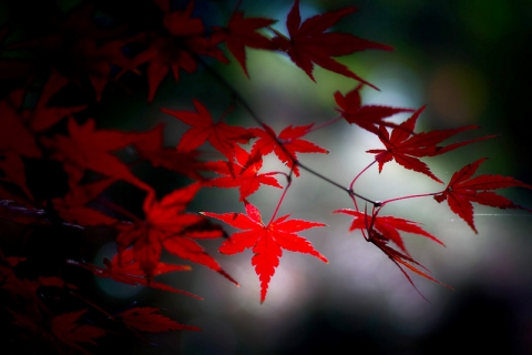 20131209A-03.jpg