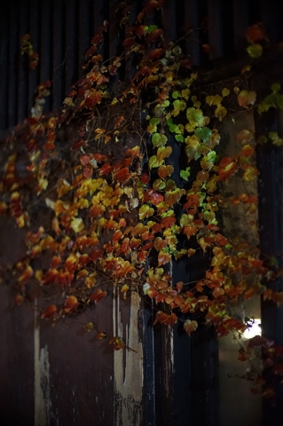 20131209D-04.jpg