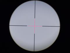 CIMG0343.jpg