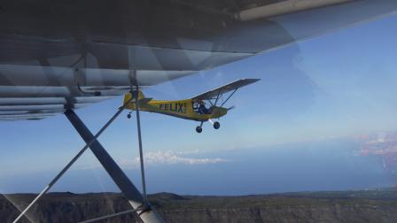 fl29.jpg