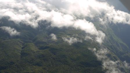 fl54.jpg