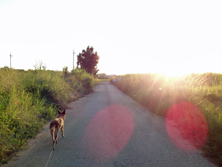 1_20140917163305318.jpg