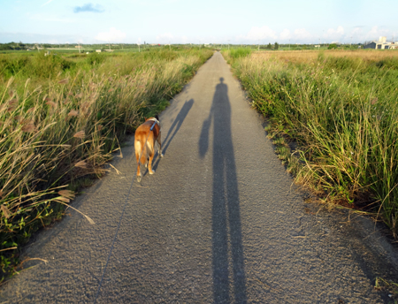 1_20140918152345e53.jpg