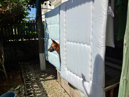 1_201409202100135e6.jpg