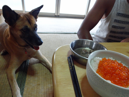 1_20140921223707bf7.jpg