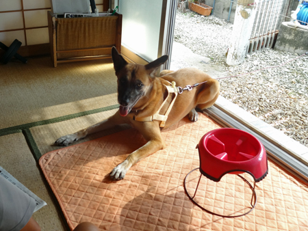 1_20141006142933224.jpg