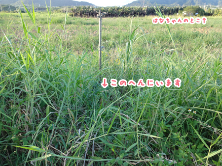 2_201409181523473eb.jpg