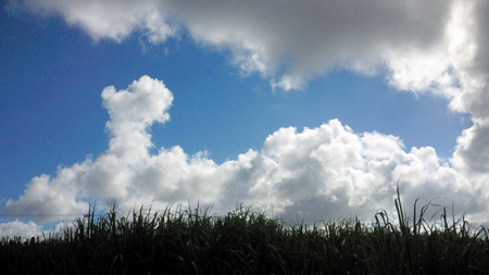 3_201409122117583f7.jpg