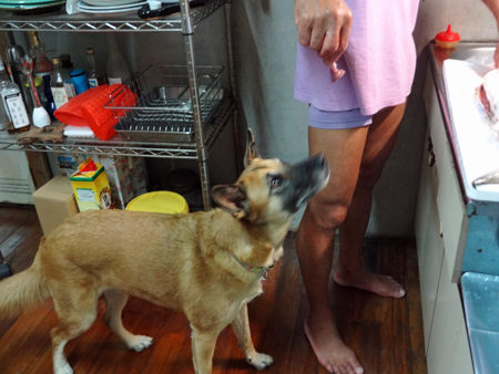 3_20140921223710da2.jpg
