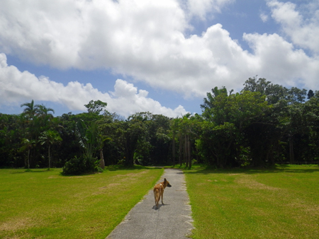 3_20140924142126ce1.jpg