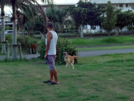 3_20140926150845c7b.jpg