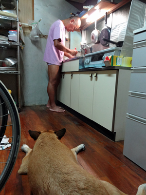 5_201409212237130ec.jpg