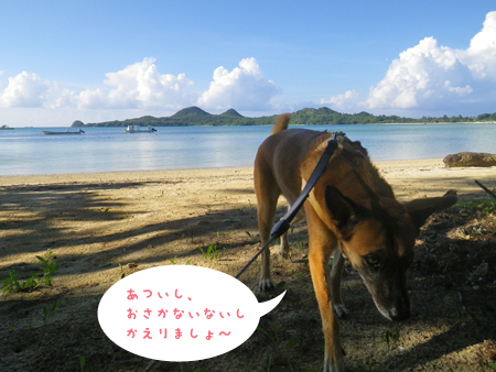 5_2014092515082838b.jpg