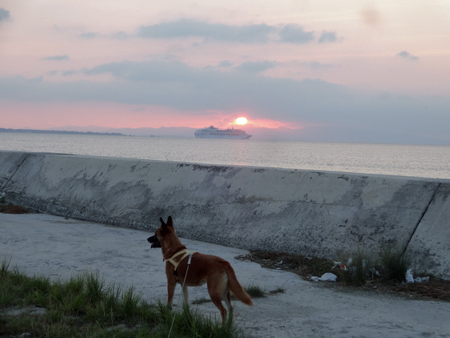 5_20140929171924bec.jpg