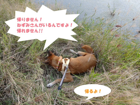 6_20140917163311cca.jpg