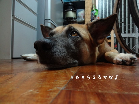 6_20140921223724f40.jpg