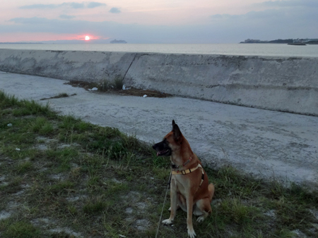 6_20140929171943ccd.jpg