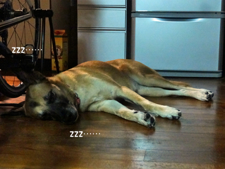 8_20140929171946d31.jpg