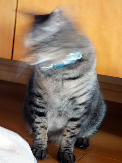 ボケ味