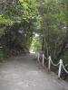 大池公園3