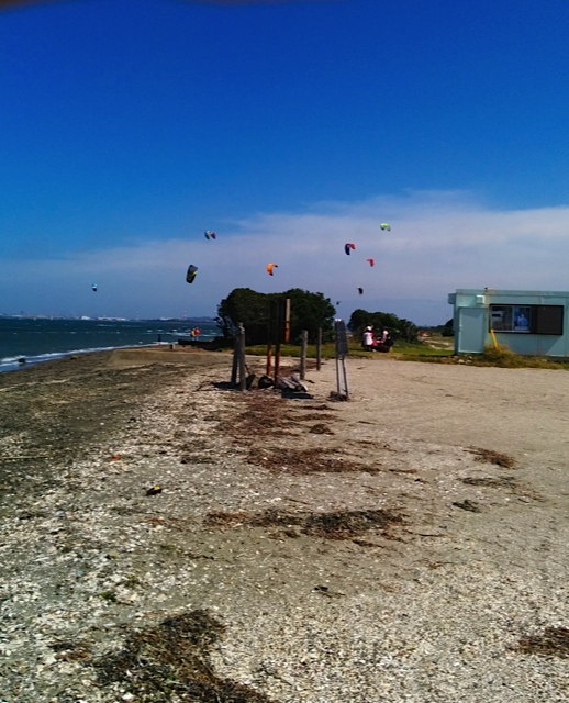 sirahama6.jpg