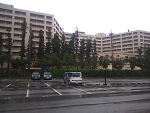 DSC_0434.jpg