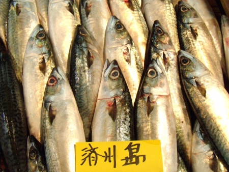 DSCN9573.jpg