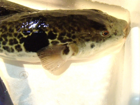 DSCN9577.jpg