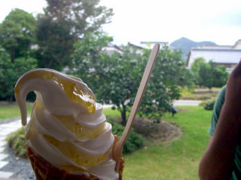 夏みかんソフトクリーム