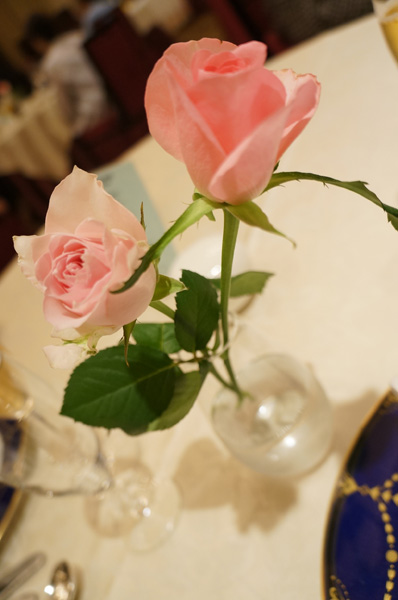 DSC08276.jpg