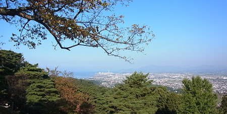 こちらもかすみ