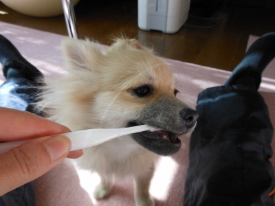 DSCN0971 (400x300)