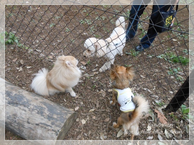 DSCN4905 (640x480)-016