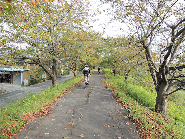 DSCN4668.jpg