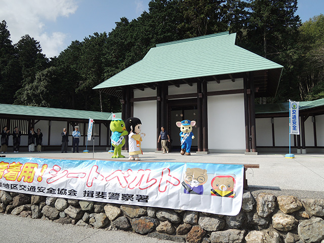 DSCN4682.jpg