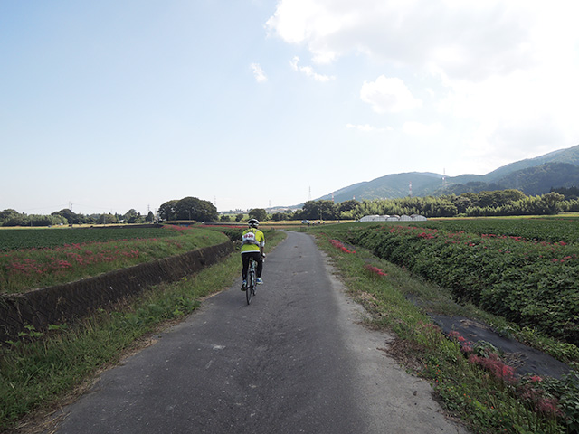 DSCN4693.jpg