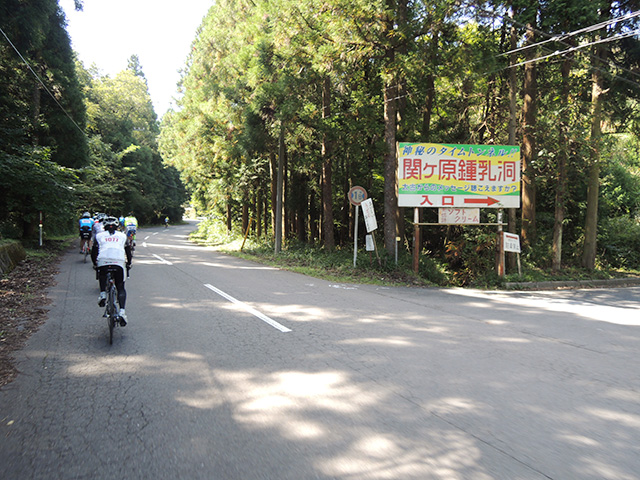 DSCN4694.jpg