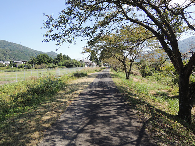 DSCN4698.jpg
