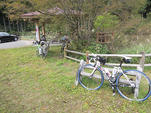 DSCN4729.jpg