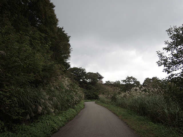 DSCN4732.jpg