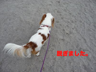 脱ぎました