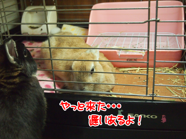 260204Blog6.jpg