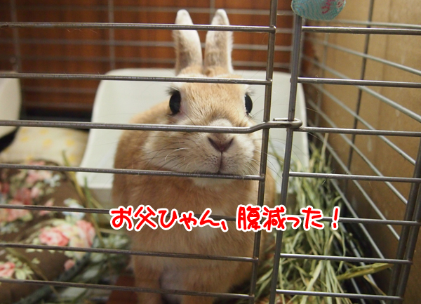 260205Blog1.jpg